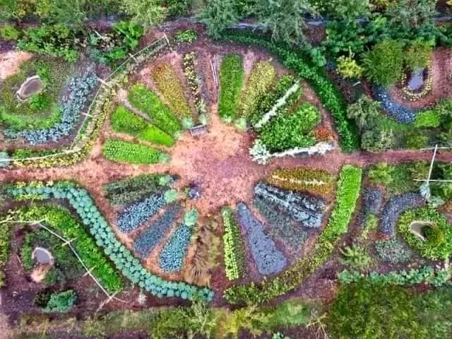 Sustainable farming field